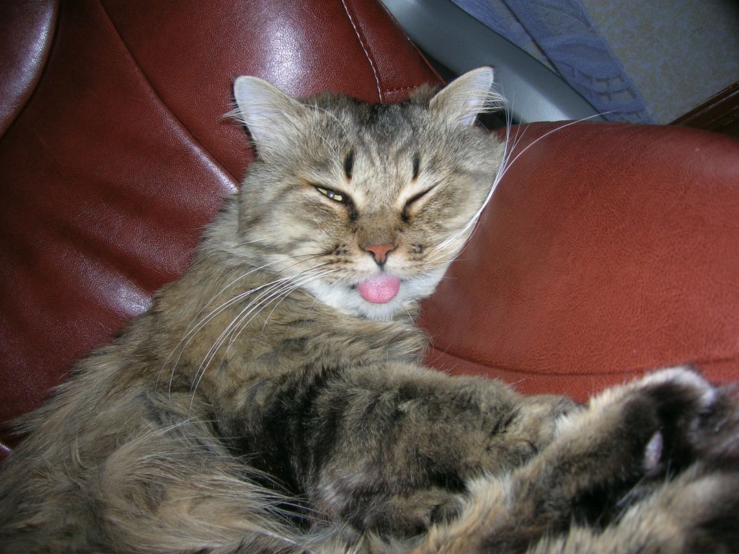 Ольга Пика | Санкт-Петербург