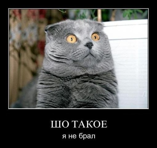 Станислав Елисеев | Санкт-Петербург