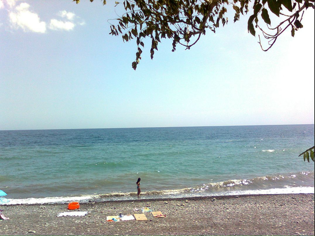 Юлия Шевченко | Полтава