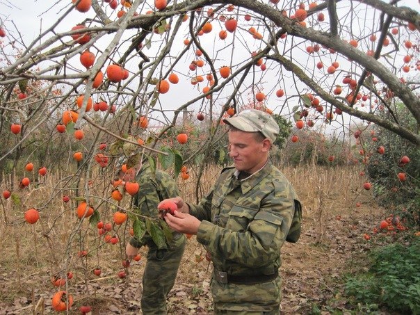 Александр Чертилин Валерьевич | Лесные Поляны