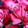 №10 Светлана Елынина 23.02: профиль, фото, статус - ВКонтакте