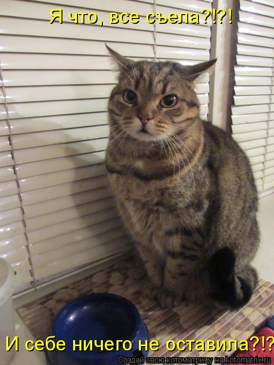 Евгений Лаппо (paukan) | Гатчина