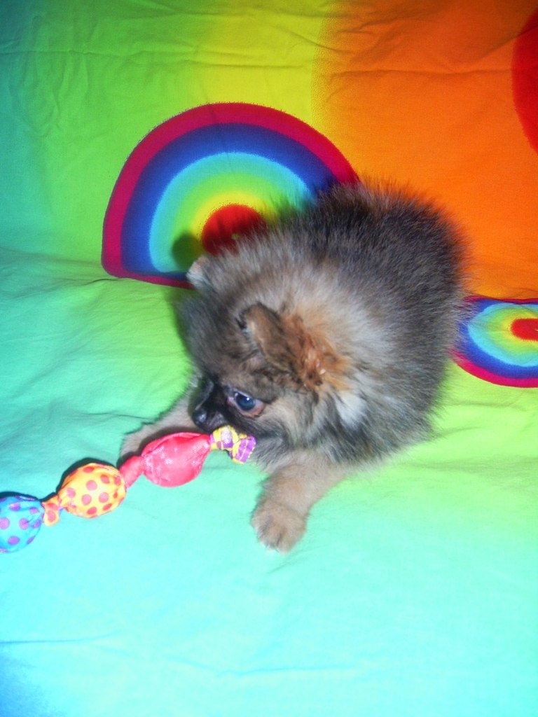 Алиса Парамохина | Москва