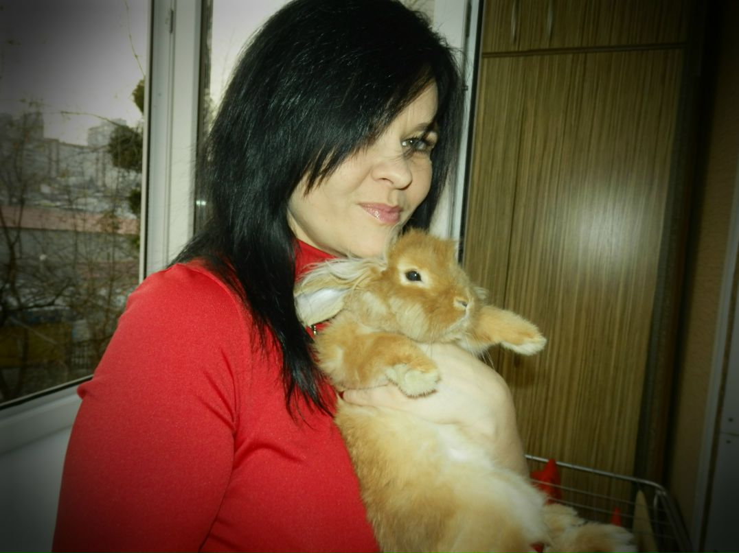 Дина Сивченко | Киев