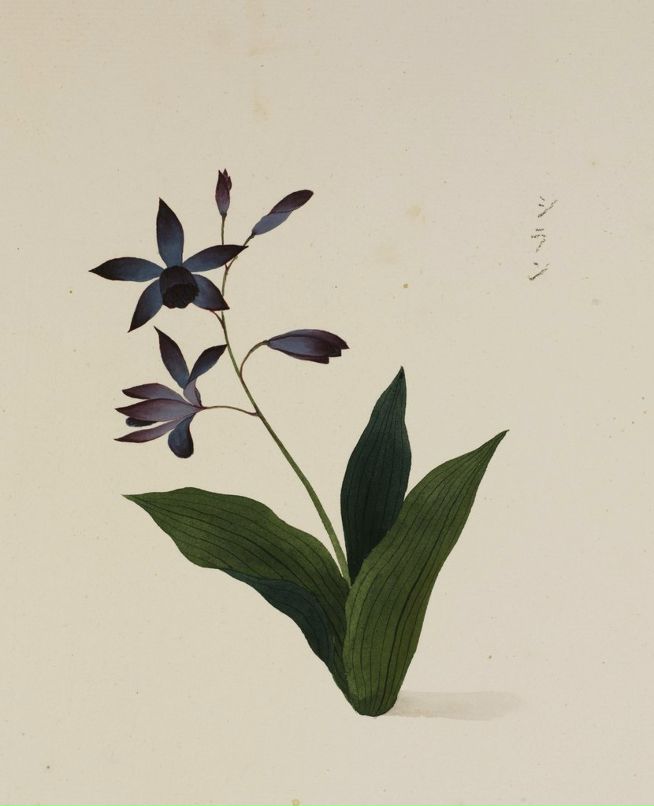 Женечка Куташова | Eilat