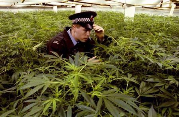 Алексей Мудрецов | Йошкар-Ола