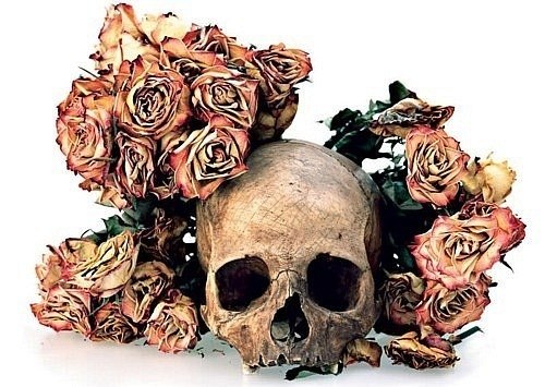 Ольга Величкина | Москва