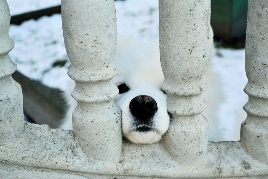 №79, Даша Черная, 36 лет, Lisboa №79, Даша Черная, 36 лет, Lisboa