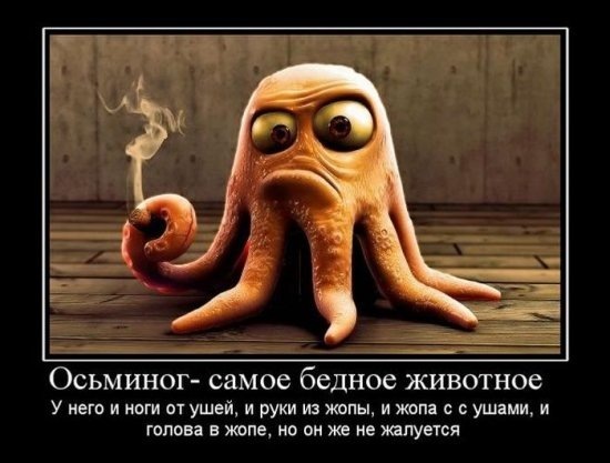 №67, Татьяна Карагач №67, Татьяна Карагач