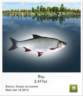 Руслан Мельник | Москва