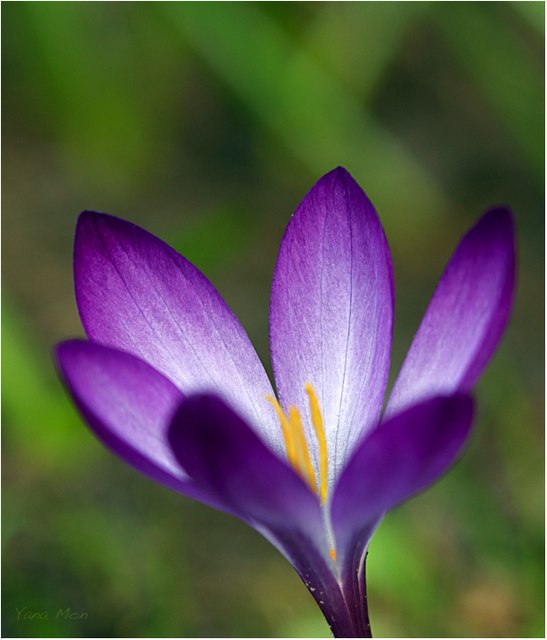 Леся Карасевич | Борисполь