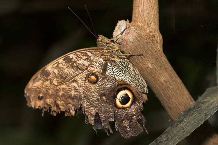 Наталья Жарихина | 