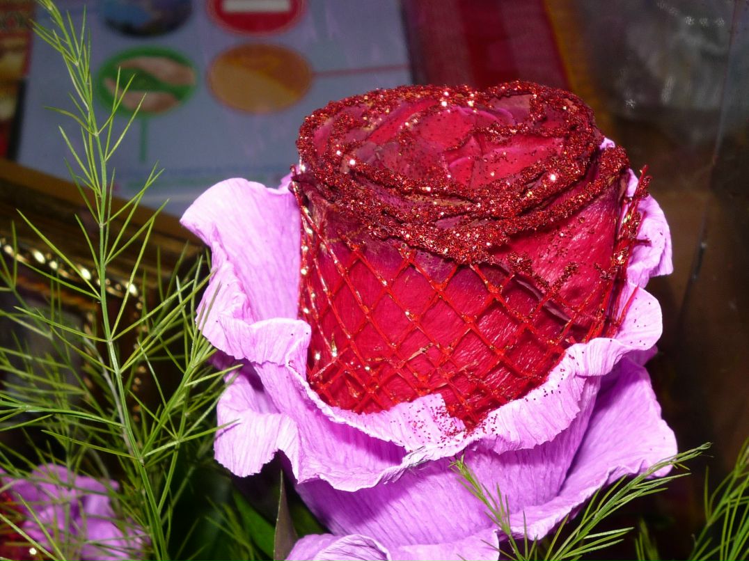 Светланка Михеева | Санкт-Петербург