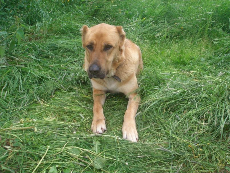 Юля Никитина | Иваново