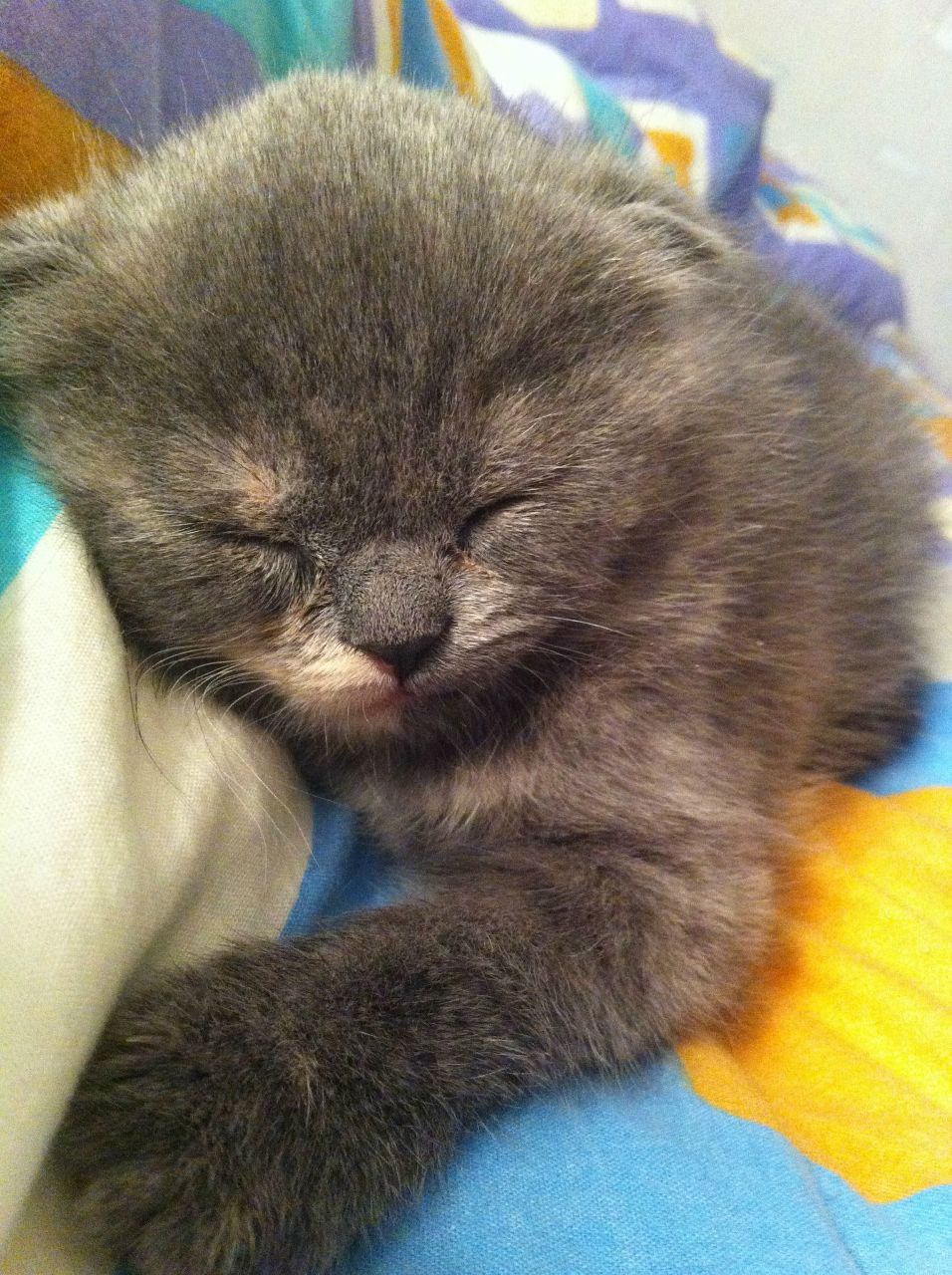 Дарья Мазавина | Владивосток