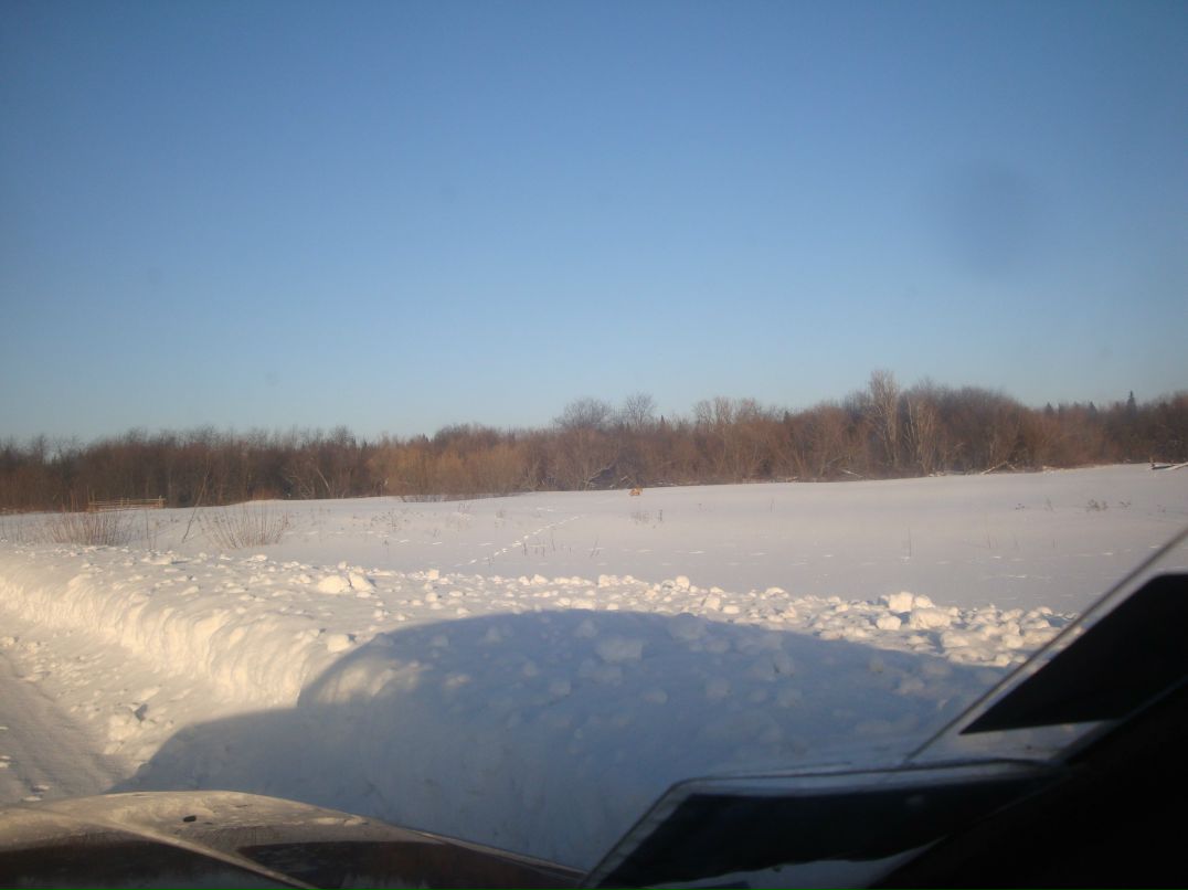 Женя Овсюков | Киров