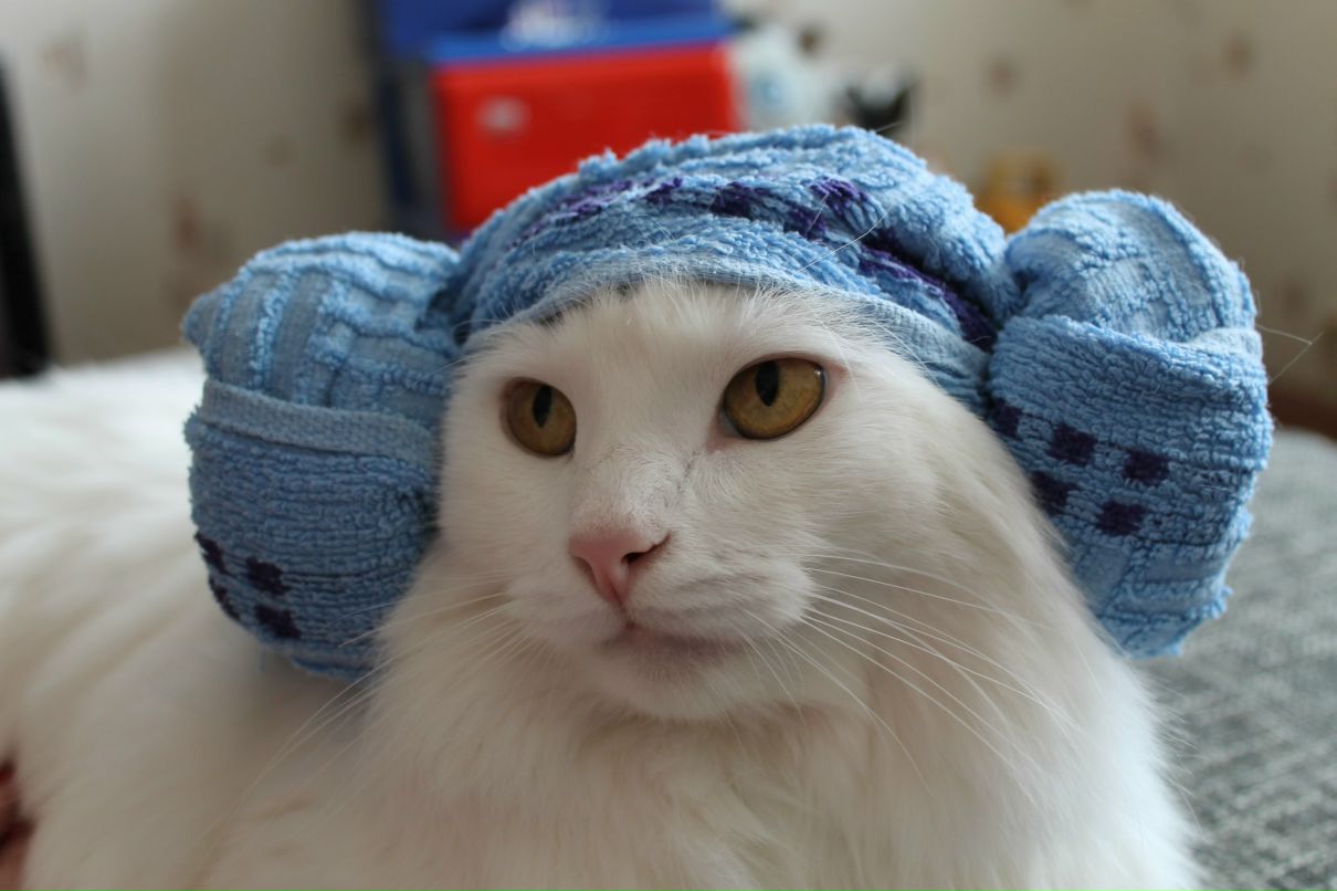 Юлия Калдина | Ульяновск