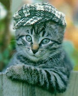 Нина Дашкова | Николаев