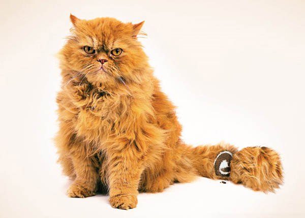 George Pokras | Краснодар