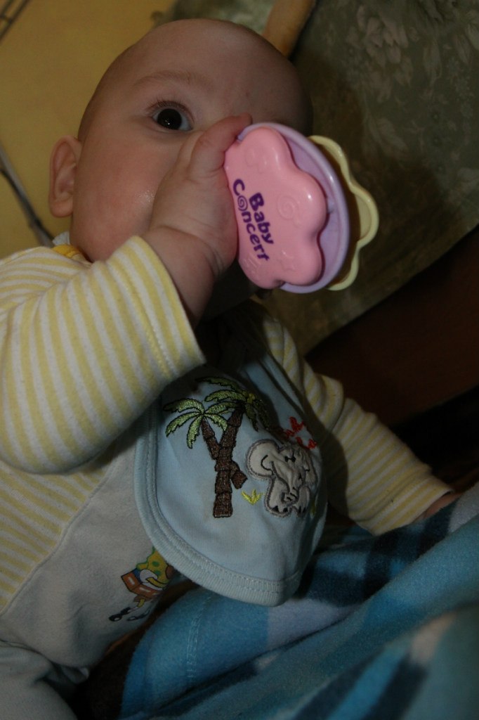 Николай Ярославский | Алматы