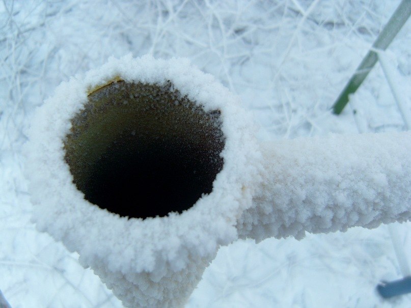 Мария Ахметянова | Челябинск