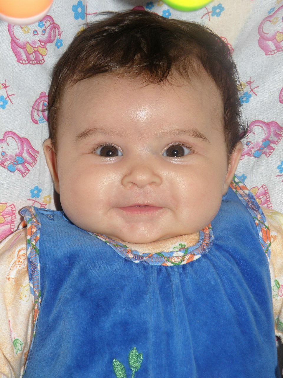 Elvira Mustafayeva | Симферополь