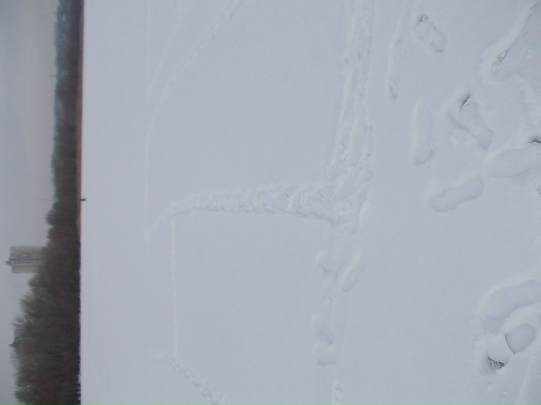 Влад Азаров ~$u$~ | 