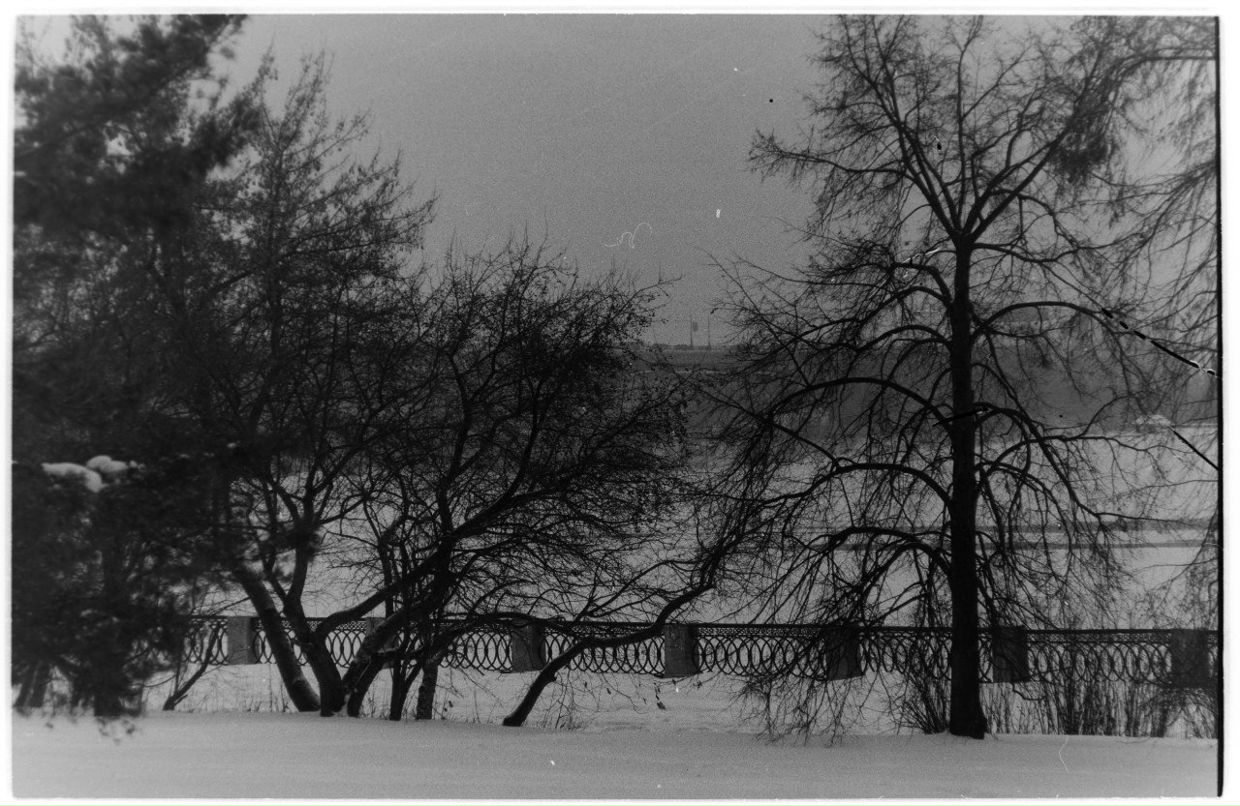 Сергей Ромашов | Новосибирск