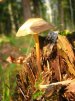 Ксюха Сергеевна фотография #12