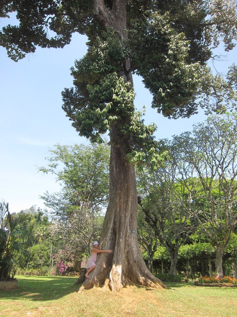 Андрей Веселов БОББИ | Нетания