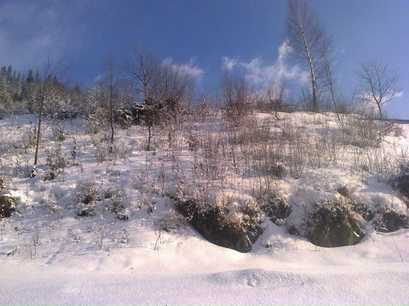 Юрій Фабрицій | Ужгород