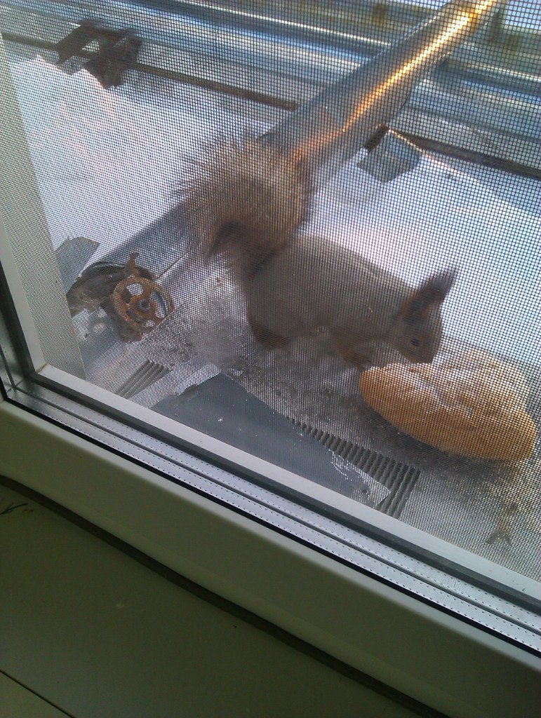 Ирек Хасанов | Нижневартовск