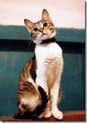 Марина Агеева | Екатеринбург