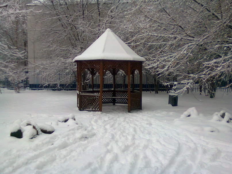 Зиеда Кадирова | Ташкент