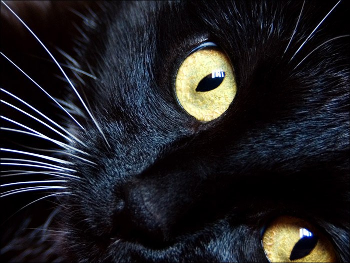 Анна Гурская | Тверь