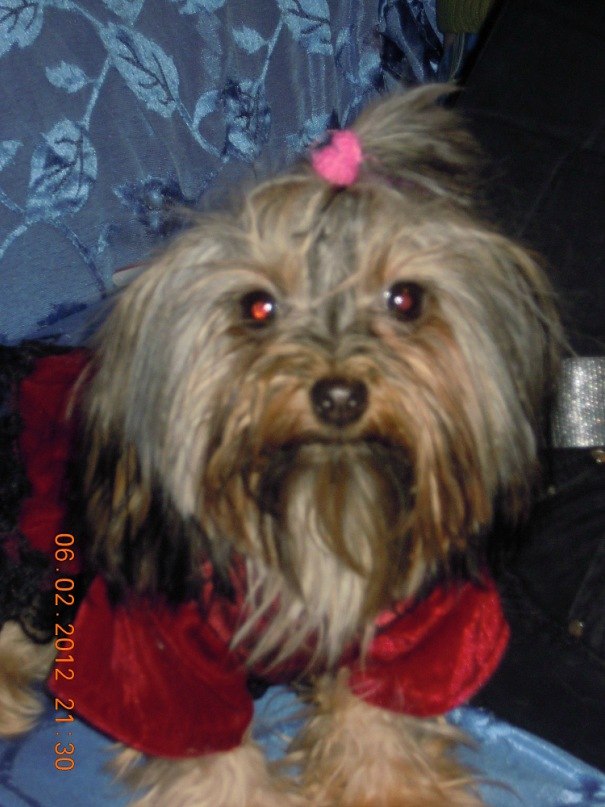 Татьяна Куклина | 