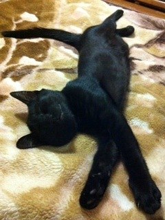 Екатерина Майсюк | Гродно