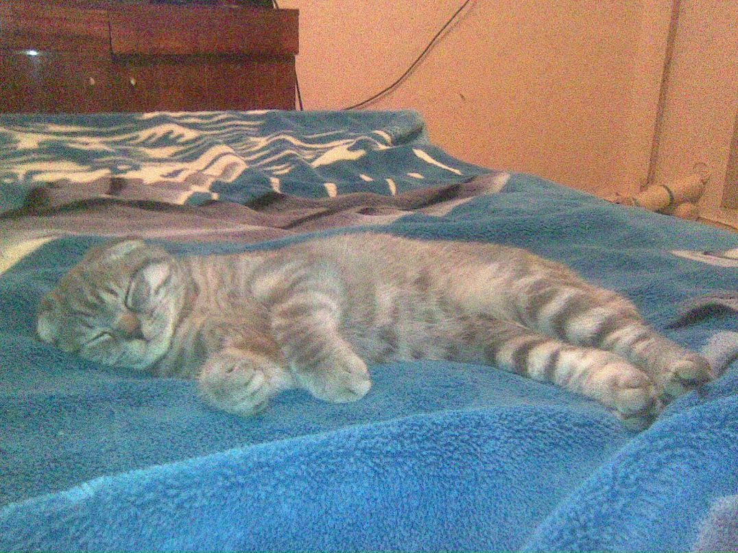 Галина Бызова | Жуковский