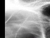 Саша Барба | Санкт-Петербург