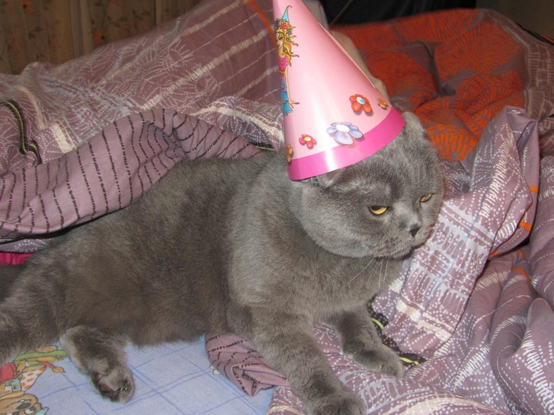 Аня Конева | Днепр (Днепропетровск)