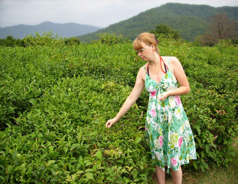 Виктория Минеева | Елабуга