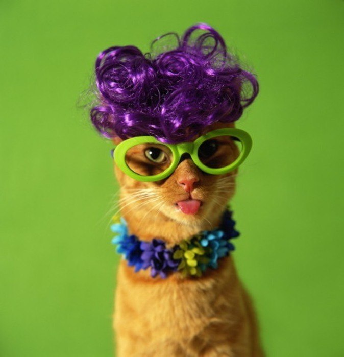 Саша Мартовский | Москва