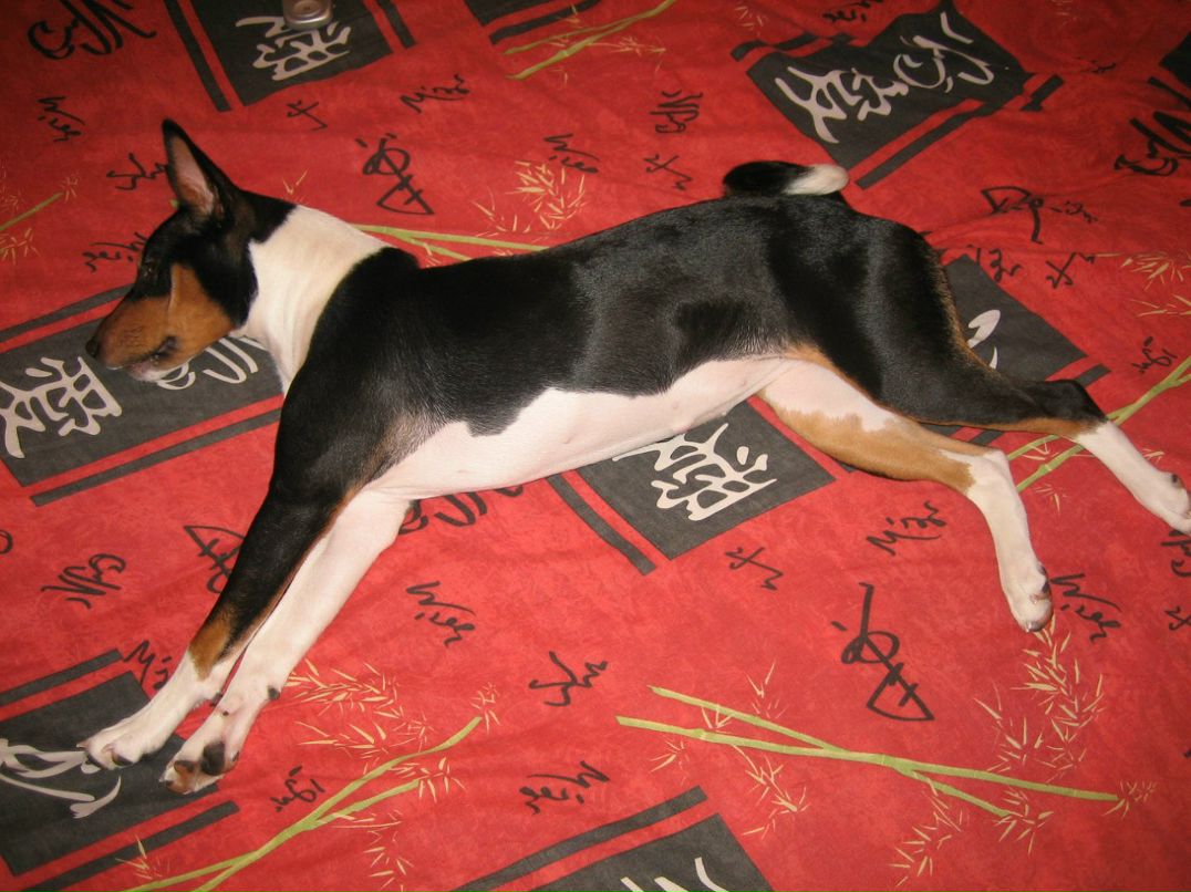 Ольга Яранцева | Санкт-Петербург