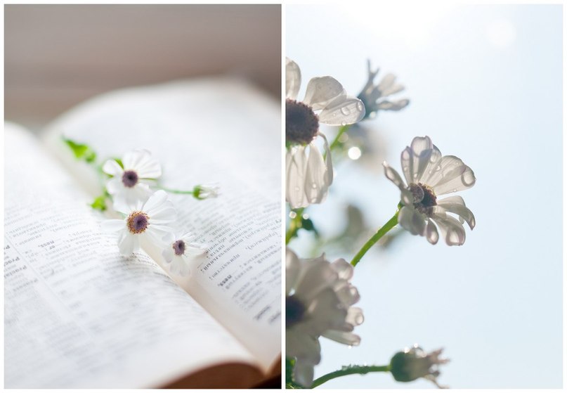 Ания Сафина | Верхний Симет