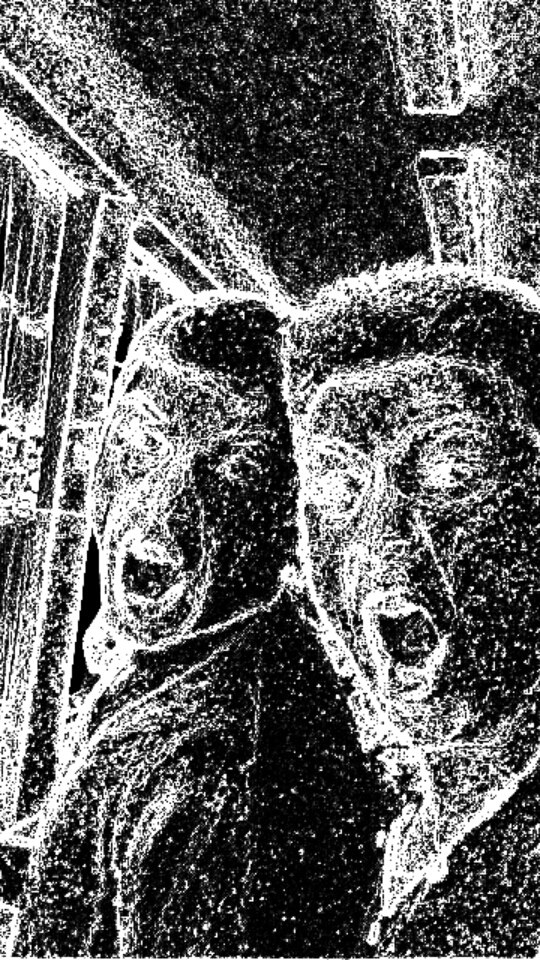 Иван Бабенко | Красноярск