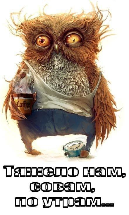 Антон Гнибеда ˙·٠•●๑۩ Gendolfian ۩๑●•٠·˙ | Москва