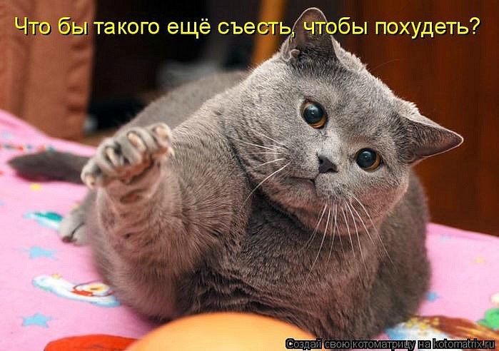 Мария Моисейчева | Киев