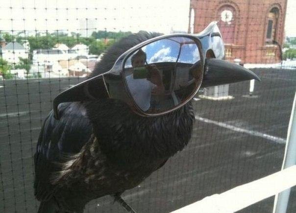 Дима Бочелюк | Тольятти