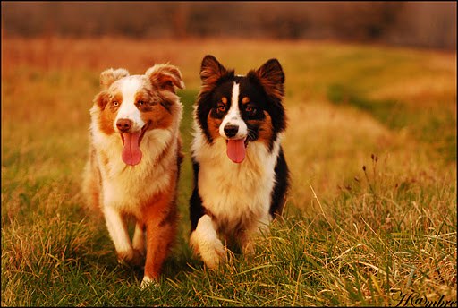 Глория Симсон | Москва