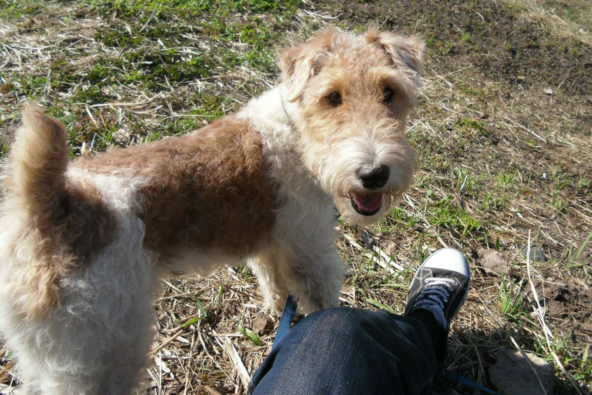 Павел Нагибин | Кингисепп